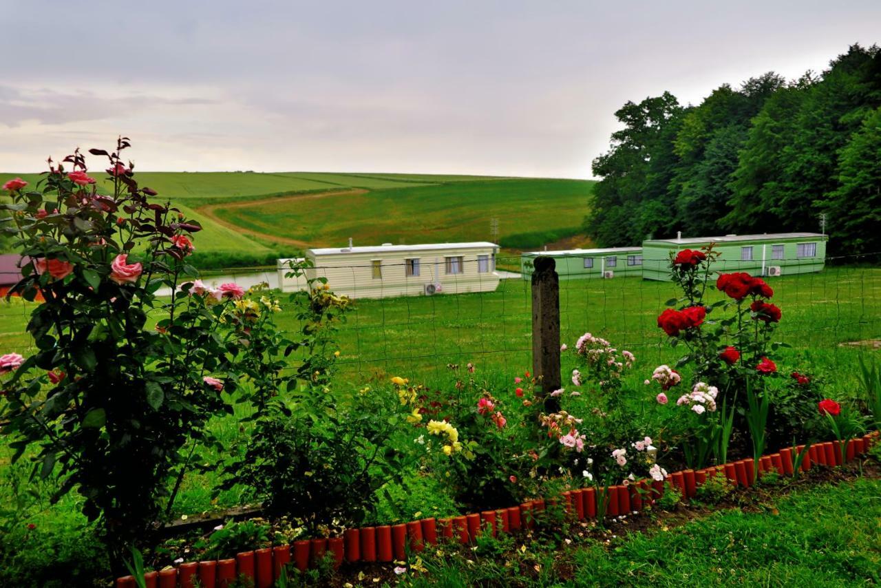 Lesny Zakatek Radocza Hotel Exterior photo